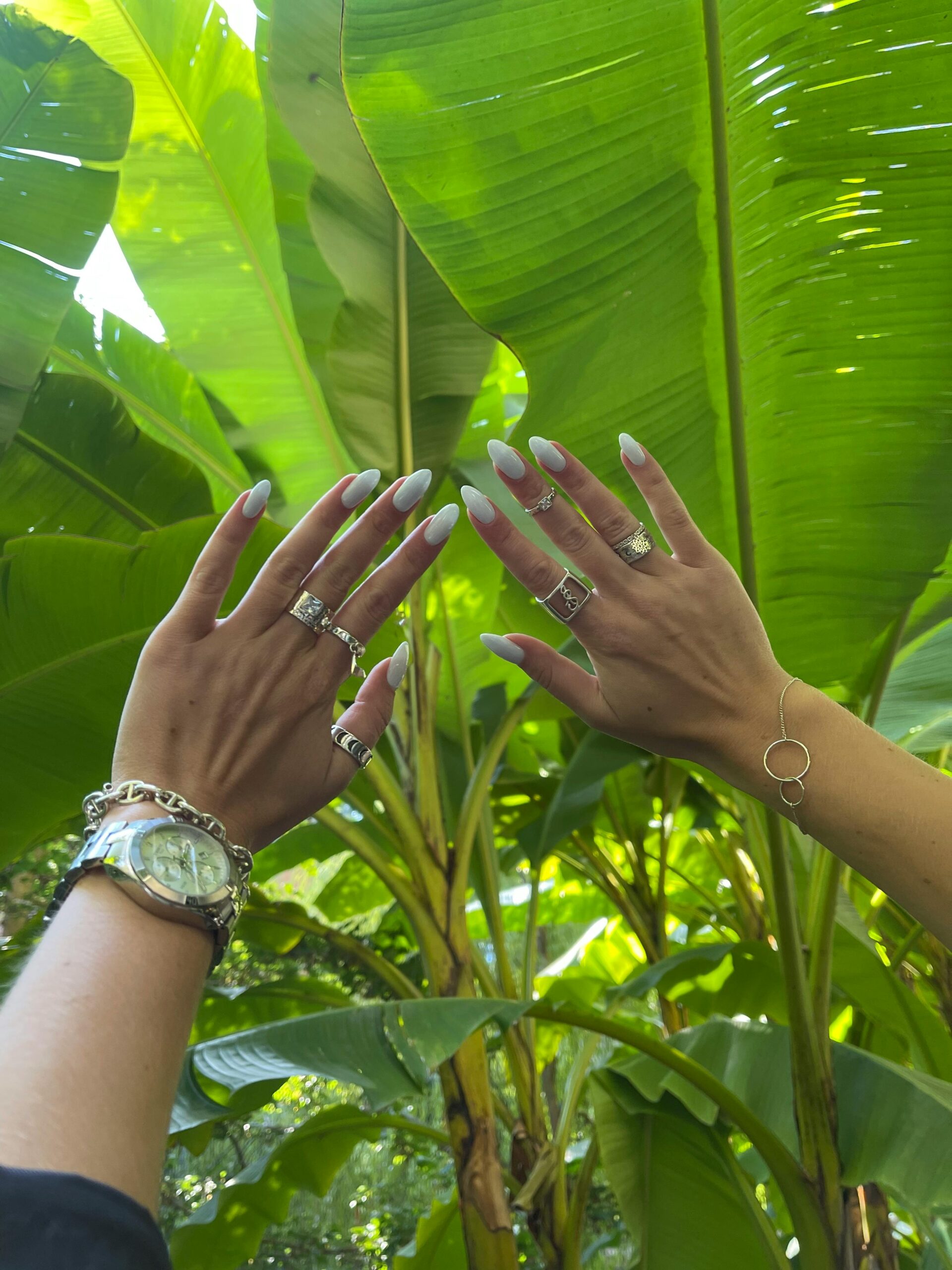 Elegant hands adorned with silver jewelry amidst vibrant green leaves, showcasing style in nature.